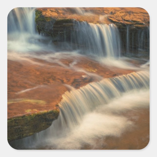 USA, Utah, Zion National Park. Scenic from 2 Square Sticker (Front)