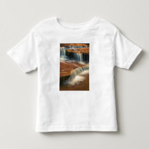 USA, Utah, Zion National Park. Scenic from 2 Toddler T-Shirt