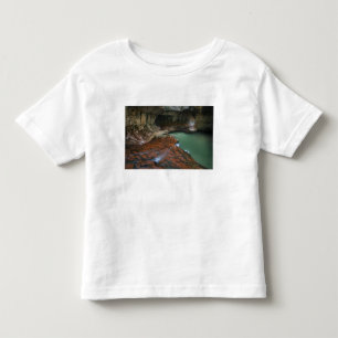 USA, Utah, Zion National Park. Scenic from 3 Toddler T-Shirt