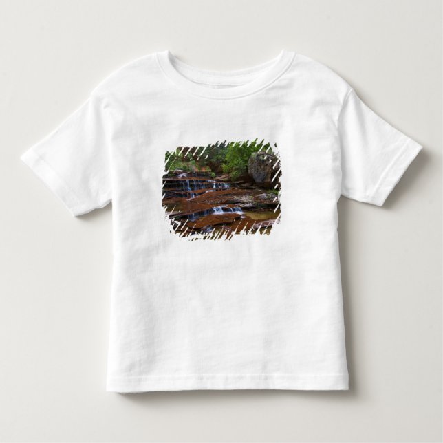 USA, Utah, Zion National Park. Scenic from 4 Toddler T-Shirt (Front)
