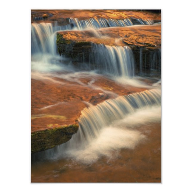 USA, Utah, Zion National Park. Scenic from Photo Print (Front)