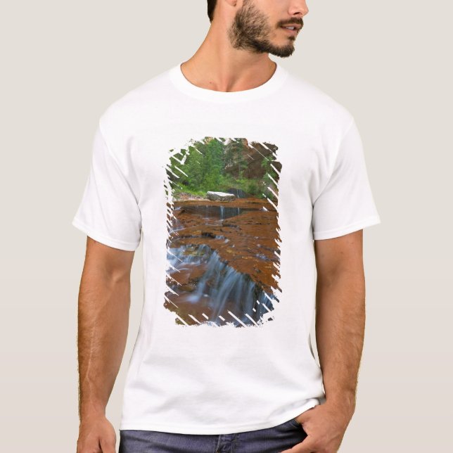 USA, Utah, Zion National Park. Scenic from T-Shirt (Front)