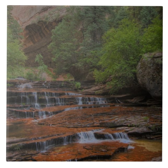 USA, Utah, Zion National Park.  Scenic from the Ceramic Tile (Front)