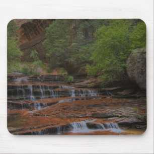 USA, Utah, Zion National Park. Scenic from the Mouse Pad