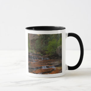 USA, Utah, Zion National Park. Scenic from the Mug