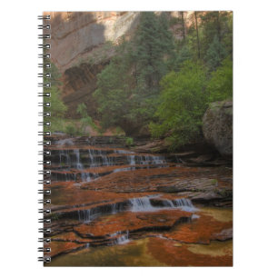 USA, Utah, Zion National Park.  Scenic from the Notebook