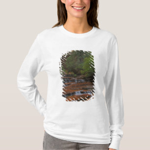 USA, Utah, Zion National Park. Scenic from the T-Shirt