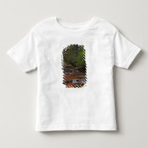 USA, Utah, Zion National Park. Scenic from the Toddler T-Shirt