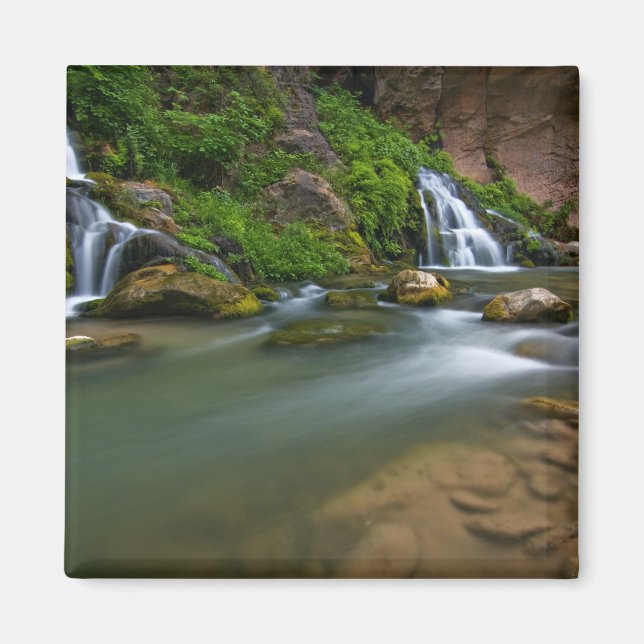 USA, Utah, Zion National Park. The Virgin Magnet (Front)