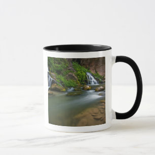 USA, Utah, Zion National Park. The Virgin Mug