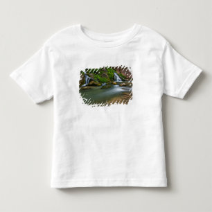 USA, Utah, Zion National Park. The Virgin Toddler T-Shirt
