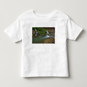 USA, Utah, Zion National Park. The Virgin Toddler T-Shirt