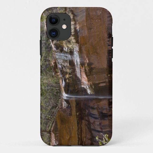 USA, Utah, Zion National Park, Water Falls at Case-Mate iPhone Case (Back)