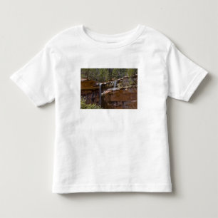 USA, Utah, Zion National Park, Water Falls at Toddler T-Shirt