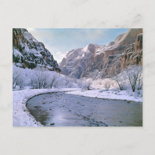 USA, Utah, Zion NP. New snow covers the canyon Postcard