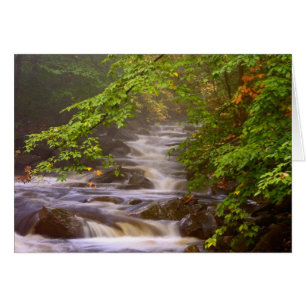 USA, Vermont, East Arlington, Flowing streams