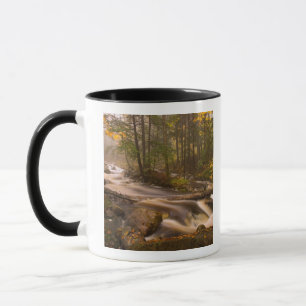 USA, Vermont, East Arlington, Flowing streams 2 Mug
