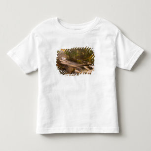 USA, Vermont, East Arlington, Flowing streams 2 Toddler T-Shirt