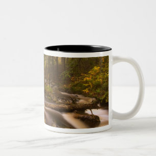 USA, Vermont, East Arlington, Flowing streams 2 Two-Tone Coffee Mug