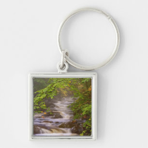 USA, Vermont, East Arlington, Flowing streams Key Ring