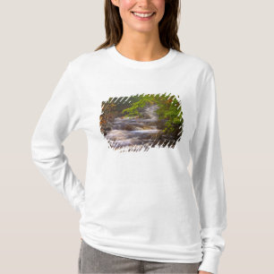 USA, Vermont, East Arlington, Flowing streams T-Shirt
