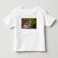 USA, Vermont, East Arlington, Flowing streams