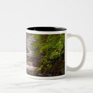 USA, Vermont, East Arlington, Flowing streams Two-Tone Coffee Mug