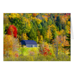 USA, Vermont. Fall foilage along Highway 100.