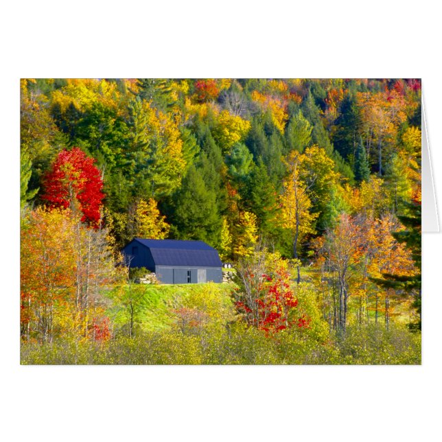 USA, Vermont. Fall foilage along Highway 100. (Front Horizontal)