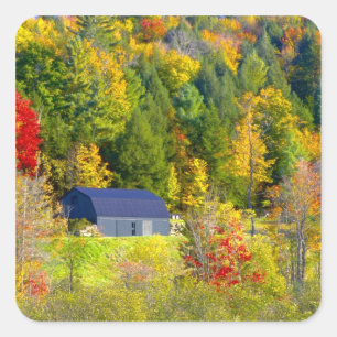 USA, Vermont. Fall foilage along Highway 100. Square Sticker