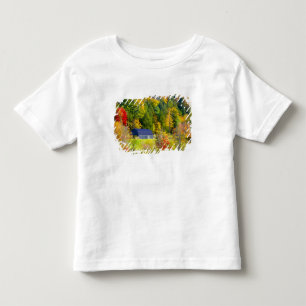 USA, Vermont. Fall foilage along Highway 100. Toddler T-Shirt