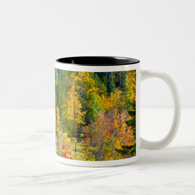USA, Vermont. Fall foilage along Highway 100. Two-Tone Coffee Mug (Right)