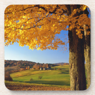 USA, Vermont. Farm Scenic Near South Woodstock Coaster