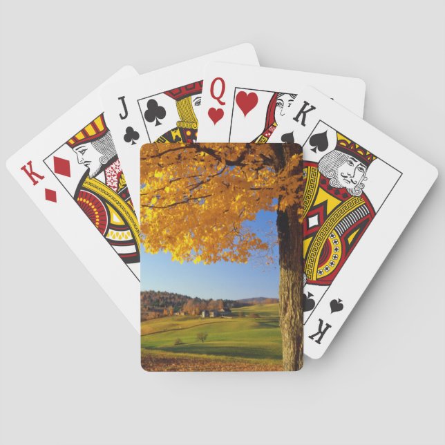 USA, Vermont. Farm Scenic Near South Woodstock Playing Cards (Back)