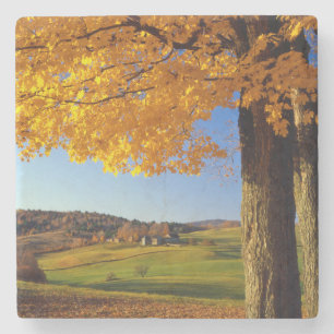USA, Vermont. Farm Scenic Near South Woodstock Stone Coaster