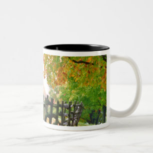 USA, Vermont. Fence under fall foliage. Two-Tone Coffee Mug