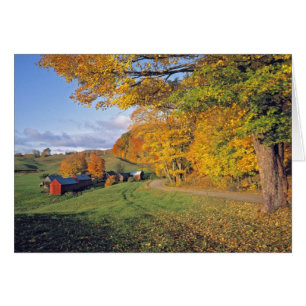 USA, Vermont, Jenne Farm. Fall comes to Jenne