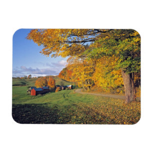 USA, Vermont, Jenne Farm. Fall comes to Jenne Magnet