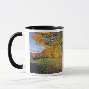 USA, Vermont, Jenne Farm. Fall comes to Jenne Mug