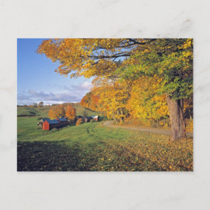 USA, Vermont, Jenne Farm. Fall comes to Jenne Postcard