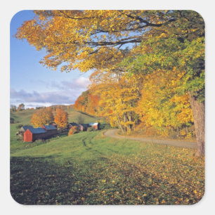 USA, Vermont, Jenne Farm. Fall comes to Jenne Square Sticker