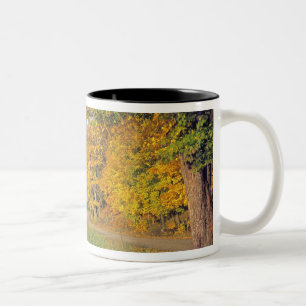 USA, Vermont, Jenne Farm. Fall comes to Jenne Two-Tone Coffee Mug