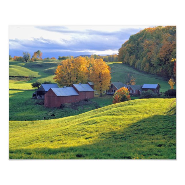 USA, Vermont, Jenne Farm. Rolling green hills Photo Print (Front)