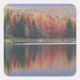 USA, Vermont, McAllister Lake, near Hazens Notch Square Sticker