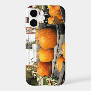 USA, Vermont. Pumpkins