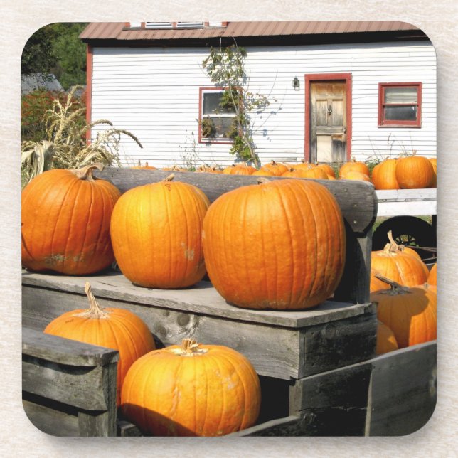 USA, Vermont. Pumpkins Coaster (Front)