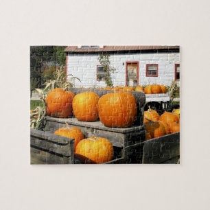 USA, Vermont. Pumpkins Jigsaw Puzzle