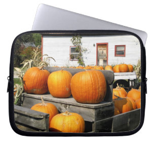 USA, Vermont. Pumpkins Laptop Sleeve