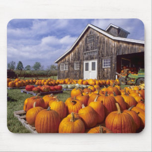 USA, Vermont, Shelbourne, Pumpkins Mouse Pad