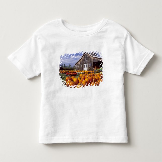 USA, Vermont, Shelbourne, Pumpkins Toddler T-Shirt (Front)